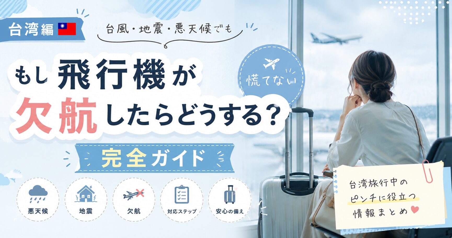 飛行機が欠航したらアイキャッチ